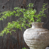 Single Stem Fern | Soft Green
