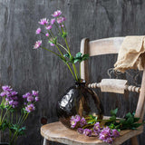 Single Stem Masterwort Flowers