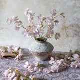 Single Stem Sweet Pea