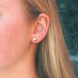 Seashell Stud Earrings | 18K GV
