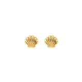 Seashell Stud Earrings | 18K GV