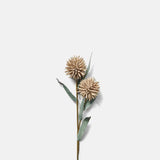 Globe Thistle Stem