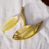 The Stevie Fish Citrus Juicer