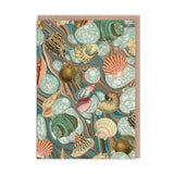 Marble Shells Birthday Card