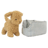Puppy + Carrier | Toffee