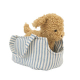 Puppy + Carrier | Toffee