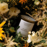 8 oz Candle | Golden Pollinator