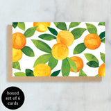 Oranges Mini Boxed Notes | Set of 6
