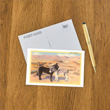 Desert Sweethearts Postcard