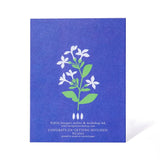 Congrats On Getting Hitched Card