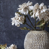 Single Stem Dahlia | Evening Dew