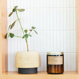 Standard Soy Candle 7.2 oz | Teakwood + Tobacco