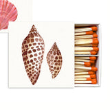 Sea Shell Matches