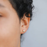 Seashell Studs