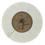 Scalloped Bone Frame