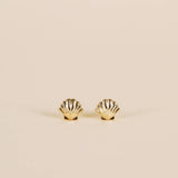 Seashell Studs