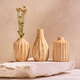 Mango Carved Mini Vase | Assorted