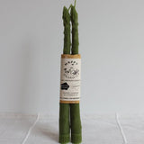 Pair of Beeswax Taper Candles | Asparagus