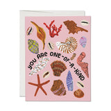 Special Seashell Card