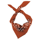 Classic Cotton Bandana | Terracotta