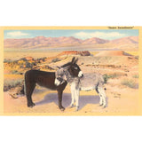 Desert Sweethearts Postcard