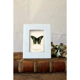 Marble Frame | 4x6