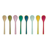 Colorful Enamel Salt Spoon | Assorted