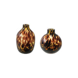 Tortoise Glass Vase | Assorted