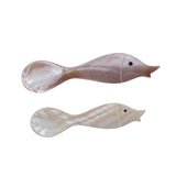 Fish Shaped Shell Spoon | Assorted