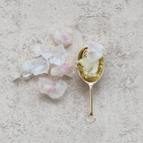 Stainless Steel Scoop | Gold