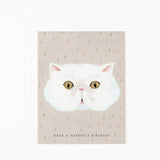 Purrfect Birthday Card
