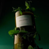 8 oz Candle | Green Goddess