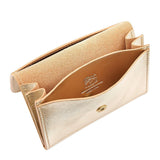Galileo Card Case | Metallic Platinum