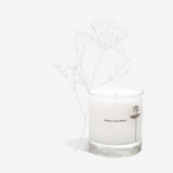Antidris Jasmine Candle