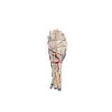White Sage Mini Drumstick