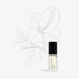 Perfume Oil Sample | Antidris Cassis