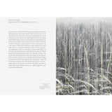 Joan Didion | What She Means