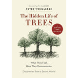 Hidden Life of Trees