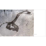 California Concrete