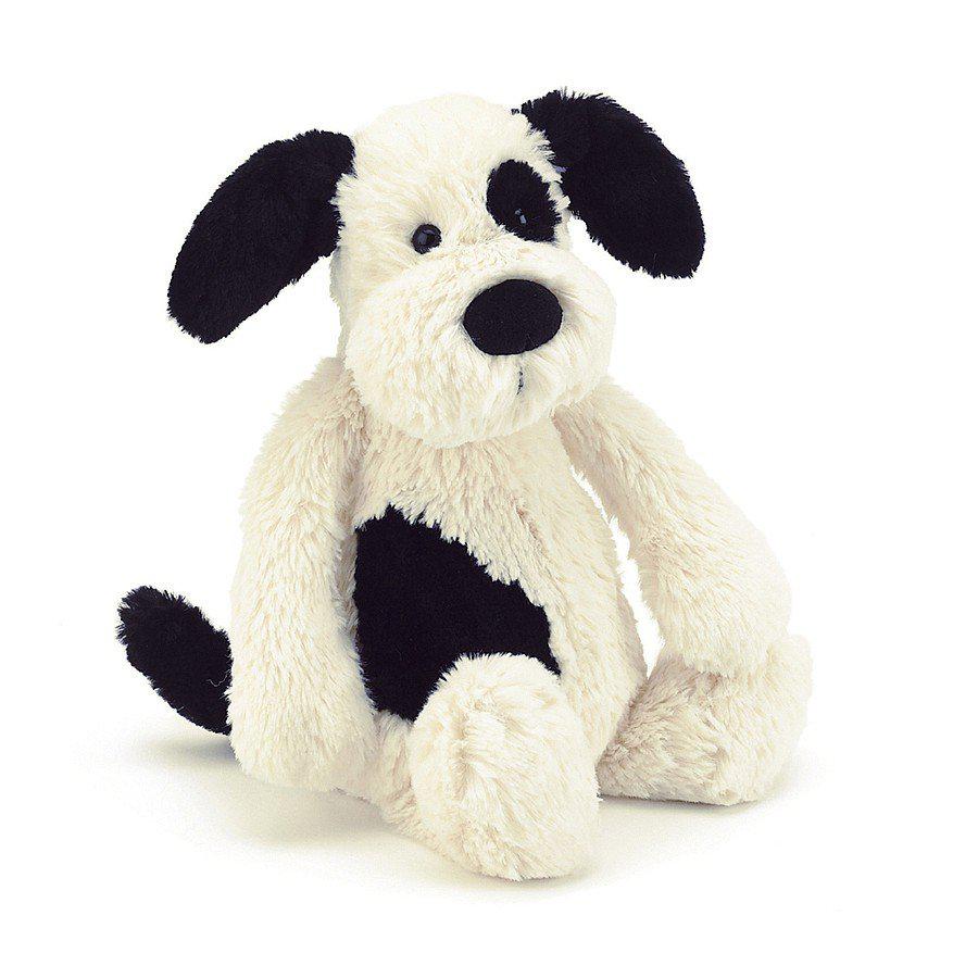 Bashful Black and Cream Puppy