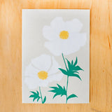 Poppy Card