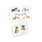 Dogs & Puppies | A Memory Game