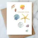 Shells Thank You Boxed Notes