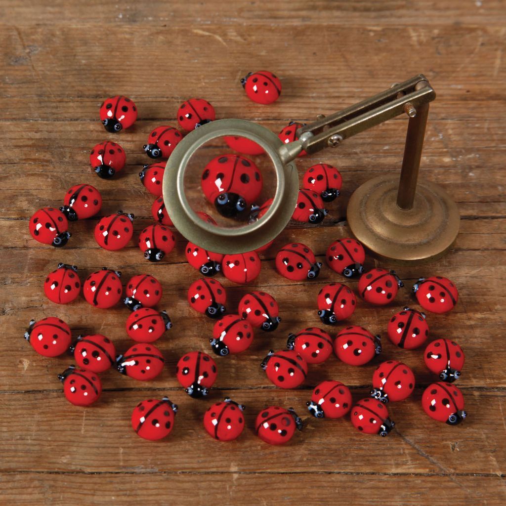 glass ladybug