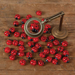 glass ladybug