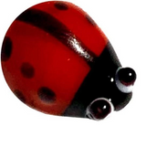 Glass Ladybug